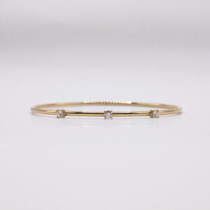 Rigid bracelet IS162