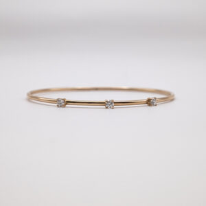 Rigid bracelet IS163